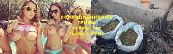 соль ск Семёнов