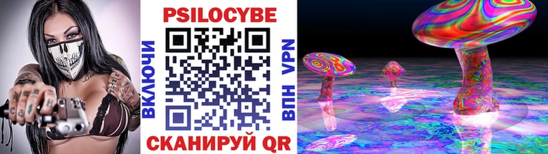 Псилоцибиновые грибы Psilocybe  Гудермес 